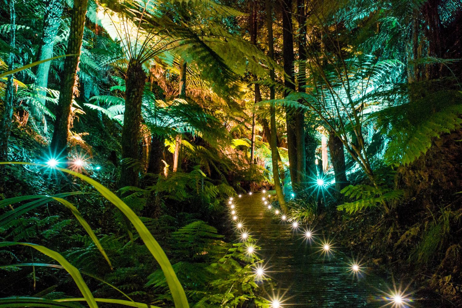 The Australian National Botanic Gardens