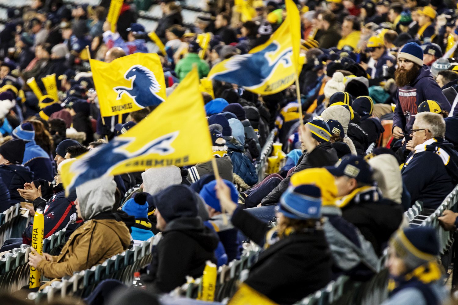 Australian Institute of Sport (AIS)